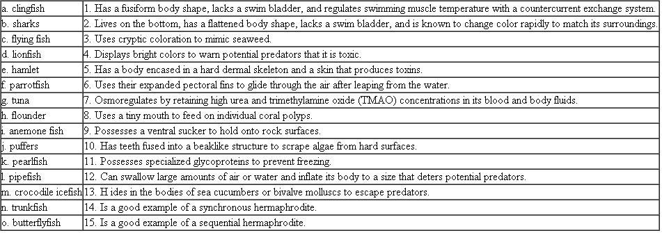 Match the following fish with the description that fits them:  