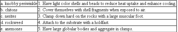 Match the following organisms with the adaptation used for living under the harsh conditions of the intertidal environment:  
