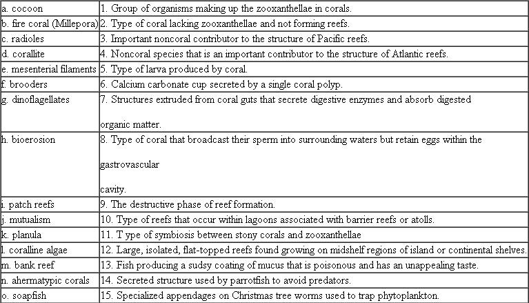Match the following definitions with the appropriate term from the list below:  