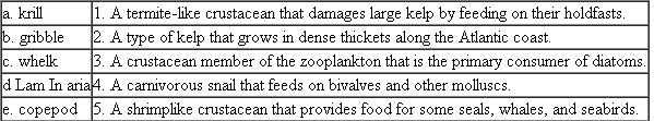 Match the following organisms with the appropriate description.  