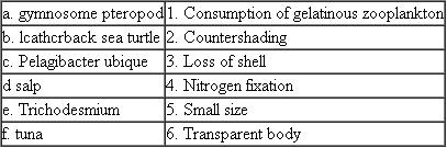 Match the following organisms with their adaptations to life in the open sea: