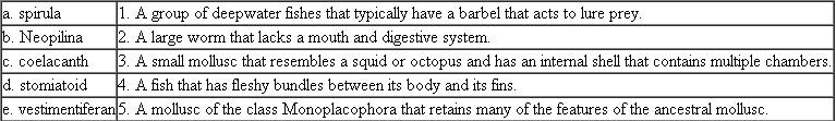 Match each of the following organisms with the appropriate description:  