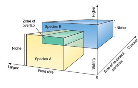 According to Figure , species B prefers or tolerates _____ better than species A. Figure A NICHE. An organism's niche is determined by a variety of abiotic and biotic factors acting together on the organism. This three-dimensional graph shows how several factors (food size, salinity, and size of sediment particles) interact to form niches for two species of burrowing worm. On the basis of this graph, we can see that species A prefers to burrow in substratum composed of smaller sediment particles where the salinity of the water is low and prefers to feed on medium- to large-sized food items. Species B, on the other hand, prefers coarser sediments where the salinity of the water is higher and prefers smaller food items. The zone of overlap indicates the combination of sediments, salinity, and food that would meet the requirements of both organisms. A) higher salinity, coarse sediments, and larger food B) lower salinity, fine sediments, and smaller food C) higher salinity, fine sediments, and larger food D) lower salinity, coarse sediments, and smaller food E) higher salinity, coarse sediments, and smaller food
