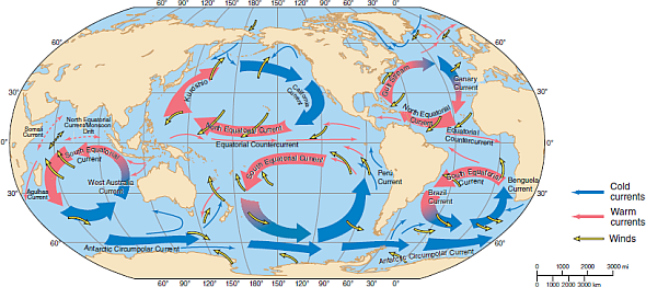 Just for the fun of it, someone in Beaufort, South Carolina, throws a message in a bottle into the sea. Some time later, someone in Perth, on the west coast of Australia, finds the bottle. Referring to Figure 3.20 and the fold-out map at the back of this book, can you trace the path the bottle probably took? FIGURE 3.20 The major surface currents of the oceans. In the main ocean basins the currents combine to form large circular systems called gyres.  <div style=padding-top: 35px> 