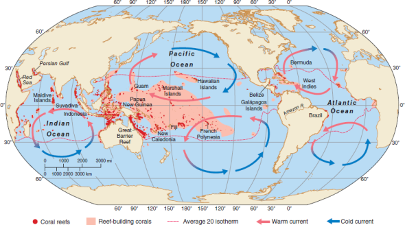 There are only a few reefs off the northeast coast of Brazil (see map in Fig. 14.11), even though it lies in the tropics. How would you explain this? FIGURE 14.11 The distribution of reef coral communities, including those that do not form structural reefs. Note that the distribution of reef corals, like that of kelps, is related to temperature. Reef corals require warm water, however, while kelps need cold water. Compare the distribution of reefs with that of kelps shown in Figure 13.22. Note that because of warm surface currents corals extend further north and south on the east sides of continents than on the west sides.   