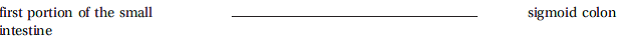 Write the correct answer in the middle column.