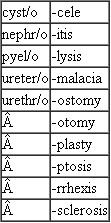 These terms are not primary terms in the chapter; however, they are made up of the following familiar word parts. If you need help in creating the term, refer to your medical dictionary.    The surgical repair of the meter is known as ________________.