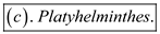 The common name of trematods (class Trematoda ) is flukes or flatworms. They belong to the phylum Platyhelminthes. All of them are parasites, primary hosts are vertebrates and the secondary hosts are generally snails. Phylum Nematodes, Rotifera and Annelida does not include flukes. Thus, the options (a), (b), and (d) are incorrect. Flukes are a type of flatworms (non-segmented worms), belongs to the phylum Platyhelminthes. They can attach to the intestines, lungs, liver or blood vessels by means of an oral sucker. Thus, the correct option is  