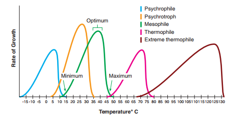 From figure 7.6. What effect will a patient's fever have on infection by a mesophile  Figure 7.6 Ecological groups by temperature of adaptation.    