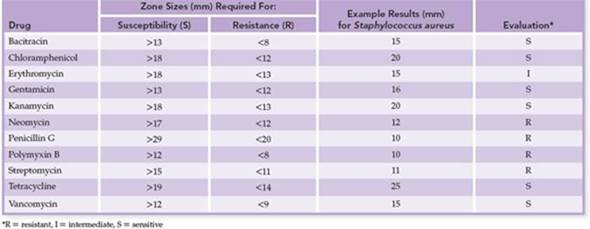 Referring to figure 12.1 a , determine whether the cultured bacterium is sensitive, intermediate, or resistant to each of the antibiotic drugs tested and provide an explanation in each case. b. Referring to figure 12.3 a , determine the minimum inhibitory concentration (MIC) of the drugs being tested, providing an explanation for your answer. Figure 12.1a Technique for preparation and interpretation of disc diffusion tests. (a) Standardized methods are used to seed a lawn of bacteria over the medium. A dispenser delivers several drug-impregnated discs onto a plate, followed by incubation. Interpretation of results: During incubation, antimicrobials become increasingly diluted as they diffuse out of the discs into the medium. If the test bacterium is sensitive to a drug, a zone of inhibition develops around its disc. Roughly speaking, the larger the size of this zone, the greater is the bacterium's sensitivity to the drug. The diameter of each zone is measured in millimeters and evaluated for susceptibility or resistance by means of a comparative standard (see table 12.3).     (a) *R and S values differ from table 12.3 due to differing concentrations of the antimicrobials. Table 12.3 Results of a Sample Kirby-Bauer Test      Figure 12.3a: Tube dilution test for determining the minimum inhibitory concentration (MIC). (a) The antibiotic is diluted serially through tubes of liquid nutrient from right to left. All tubes are inoculated with an identical amount of a test bacterium and then incubated. The first tube on the left is a control that lacks the drug and shows maximum growth. The first tube in the series that shows no growth (no turbidity) contains the concentration of antibiotic that is the MIC.   