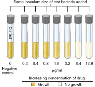 Referring to figure 12.1 a , determine whether the cultured bacterium is sensitive, intermediate, or resistant to each of the antibiotic drugs tested and provide an explanation in each case. b. Referring to figure 12.3 a , determine the minimum inhibitory concentration (MIC) of the drugs being tested, providing an explanation for your answer. Figure 12.1a Technique for preparation and interpretation of disc diffusion tests. (a) Standardized methods are used to seed a lawn of bacteria over the medium. A dispenser delivers several drug-impregnated discs onto a plate, followed by incubation. Interpretation of results: During incubation, antimicrobials become increasingly diluted as they diffuse out of the discs into the medium. If the test bacterium is sensitive to a drug, a zone of inhibition develops around its disc. Roughly speaking, the larger the size of this zone, the greater is the bacterium's sensitivity to the drug. The diameter of each zone is measured in millimeters and evaluated for susceptibility or resistance by means of a comparative standard (see table 12.3).     (a) *R and S values differ from table 12.3 due to differing concentrations of the antimicrobials. Table 12.3 Results of a Sample Kirby-Bauer Test      Figure 12.3a: Tube dilution test for determining the minimum inhibitory concentration (MIC). (a) The antibiotic is diluted serially through tubes of liquid nutrient from right to left. All tubes are inoculated with an identical amount of a test bacterium and then incubated. The first tube on the left is a control that lacks the drug and shows maximum growth. The first tube in the series that shows no growth (no turbidity) contains the concentration of antibiotic that is the MIC.   