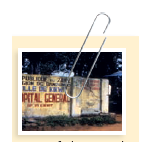 Ebola in the Congo  In 1994, Richard Preston's The Hot Zone electrified readers with gruesome descriptions of an exotic virus that caused its victims to bleed out of every orifice in a horrifying death. This book was not a work of fiction but was a factual account of outbreaks of the Ebola virus in Kenya and Sudan and its presence at an animal storage facility in Reston, Virginia. Although Ebola is a fairly rare disease, case fatality rates range from 25% to 90% and outbreaks often strike in impoverished nations with limited medical resources. Usually outbreaks are small and self-limiting, but they are deadly and quickly capture the attention of public health agencies such as the World Health Organization (WHO) and the Centers for Disease Control and Prevention (CDC) and news outlets alike. Ebola first grabbed the attention of the world in 1976 with simultaneous outbreaks in Sudan and Zaire (currently the Democratic Republic of the Congo, or D.R.C.). Since then, there have been sporadic outbreaks in Sudan, Zaire/D.R.C., Gabon, Ivory Coast, Uganda, South Africa, and the Philippines. In the summer of 2012, an outbreak occurred in the D.R.C. with 15 cases and 10 deaths and in Uganda with 60 cases and 16 deaths. One case was confirmed in a man who stole a cell phone from a patient in a hospital ward where Ebola patients were quarantined. He later started showing symptoms of the disease and checked himself into the same hospital where he stole the phone.  What makes Ebola such a deadly virus   What is the reservoir of the virus   How is the virus transmitted  Ebola is an RNA virus in the Filoviridae family and is most easily recognized in electron micrographs by its long, thin, spaghetti-like shape. The virus infects the endothelial cells lining blood vessels and interferes with coagulation of the blood. The combination of damaged blood vessels and lack of coagulation leads to massive internal bleeding and shock, usually resulting in death. What makes Ebola so insidious is that its early symptoms mimic so many other tropical diseases: Fatigue, headache, muscle pain, fever, vomiting, and diarrhea are often mistaken for malaria, typhoid fever, cholera, relapsing fever, and other diseases commonly seen in this area of the world.     The reservoir of the virus is still unknown, but massive efforts have been undertaken to collect samples from live animals and corpses of infected animals during an Ebola outbreak to detect antibodies against the virus. Fruit bats are generally considered to be the host of the virus, but to date, only 3% of all fruit bat species have been sampled, making it difficult to determine the exact reservoir. The virus is mainly transmitted through direct contact with bodily fluids or contaminated fomites such as bed linens or clothing from infected individuals. There are three main pathways for person-to-person transmission of the virus during an outbreak: between family members and caregivers of sick individuals in a home setting, through contact with dead bodies during funeral preparations, and between infected patients and the medical staff in health care settings. Of utmost importance is prevention of transmission of Ebola in the hospital setting. There have been numerous cases of health care workers contracting and dying from the virus. During an outbreak in the Democratic Republic of the Congo in 1994, the only physician at the Watsa district hospital in D.R.C. died after treating a patient. This meant that there was no physician available at that hospital from 1994 to 1996. In 2000, the medical director and 11 staff members died in Gulu, Uganda, during an outbreak.  What are some of the difficulties in controlling and treating Ebola outbreaks   In terms of viral success, or the ability of the virus to transmit itself, Ebola is not a successful virus because it kills its victims so quickly. Why then is Ebola such a great concern globally  Source : 2012.www.cdc.gov/ncidod/dvrd/spb/mnpages/dispages/ebola/ebolatable.htm
