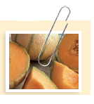 Multistate Listeria Outbreak Tied to Cantaloupe In September 2011, reports began to emerge of a food-borne outbreak of listeriosis. The initial CDC investigation found a number of cases in Colorado, Nebraska, Oklahoma, and Texas. By the time the outbreak was over in December 2011, it had stretched to 147 people in 28 states with 33 deaths and 1 miscarriage all tied to a single source: cantaloupe. Colorado was found to have the highest incidence of disease, with 40 cases and 9 deaths documented. Epidemiologists discovered why: Colorado was the home of Jensen Farms, the farm supplying the contaminated cantaloupes. Shortly after the outbreak began, Jensen Farms voluntarily recalled shipments of cantaloupe. The FDA issued a press release warning consumers not to consume cantaloupes with the Rocky Ford label that Jensen Farms had sent to 17 states. After the FDA warning, several other companies issued recalls of products containing fresh-cut cantaloupes originating from Jensen Farms. What are the signs and symptoms of listeriosis Who is at greatest risk of infection with Listeria Why was this an unusual outbreak of listeriosis Listeria monocytogenes is a gram-positive rod and is primarily spread through contaminated food. Symptoms of listeriosis are generally muscle aches, fever, diarrhea, and other gastrointestinal symptoms. Depending on the individual and the invasiveness of the organism, symptoms can include headache, stiff neck, loss of balance, confusion, and convulsions. Pregnant women can experience mild flulike symptoms, but because the organism can cross the placenta, an infection during pregnancy can cause miscarriage, premature delivery, life-threatening infection of the newborn, or stillbirth. Those at greatest risk for serious illness with listeriosis are pregnant women; newborns; people with cancer, diabetes, liver disease, kidney disease, or alcoholism; older adults; and people with AIDS or others who have weakened immune systems due to organ transplants and certain diseases.   Usually, outbreaks of Listeria infection are associated with processed dairy or deli meats such as soft cheeses, hot dogs, and smoked seafood. Any unpasteurized milk or cheese is likely to be contaminated with Listeria. The bacterium can grow at refrigerator temperatures, which is why cheeses and processed meats can be the source of the pathogen. There have been numerous outbreaks associated with cheeses produced in the home such as queso fresco or locally produced cheeses sold in farmers' markets. This outbreak was the first outbreak in history associated with cantaloupe. Listeriosis is interesting because it is an unusual food-borne pathogen that causes its main symptoms outside of the gastrointestinal system. For that reason, the disease is covered in chapter 19, Infectious Diseases Affecting the Nervous System. The case in this chapter will help you remember that listeriosis is a food-borne disease. How did the CDC trace so many widespread cases to Jensen Farms What could have been done to prevent the outbreak<div style=padding-top: 35px> 