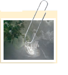 Where Did All the Methane Go  The British Petroleum (BP) Deepwater Horizon oil spill in the Gulf of Mexico in April 2010 was the largest oil spill in history, releasing an estimated 4.9 million barrels of oil (205.8 million gallons), contaminating 665 miles of coastline, and having an untold impact on the environment. Among the many concerns about the impact that the massive spill would have on the Gulf of Mexico and its flora and fauna, scientists were concerned that the methane released by the spill would eventually make its way into the atmosphere and, as a greenhouse gas, would contribute to global warming. Others speculated that it would remain trapped in the ocean, suffocating all life and creating dead zones. According to measurements by the Department of Energy (DOE) and BP, methane was proportionately the most abundant substance released in the spill as compared to crude oil and octane. When researchers studied methane levels in the ocean shortly after the spill, they found a layer 110 to 220 yards thick about two-thirds of a mile below the surface at concentrations 10,000 to 100,000 times the normal levels-the highest concentration of methane ever measured in the ocean. As scientists continued to monitor the methane concentration in the Gulf, they made a surprising finding: The concentration of methane decreased to nearly zero within the space of a few months. What accounted for the dramatic drop in methane levels in the Gulf You guessed it: bacteria.  Where did the methane-consuming bacteria in the Gulf of Mexico come from   What microbial species were involved in the methane consumption  Methane-consuming microbes, also known as methanotrophs , exist naturally in the environment and cluster around methane-seeping vents in the ocean floor, living off of the small amounts of methane released there. However, when the Deepwater Horizon exploded, there was a massive increase in methane in the area-a banquet for methanogens. For 2 months, they gorged themselves on the abundance of methane and consumed nearly all of the methane released in the spill. Scientists estimate that these microbes consumed 200,000 tons of oil and natural gas within 5 months after the spill. They utilized metagenomic analysis to determine the identity of the methane consumers and found Oceanospirillales, Colwellia, Methylococcaceae, and Cycloclasticus. All of these organismsare also psychrophilic and grow optimally at 40°F, thetemperature at the depths where the largest concentration ofmethane was found in the Gulf.      How did scientists measure the volume of methane that had been consumed by microbes