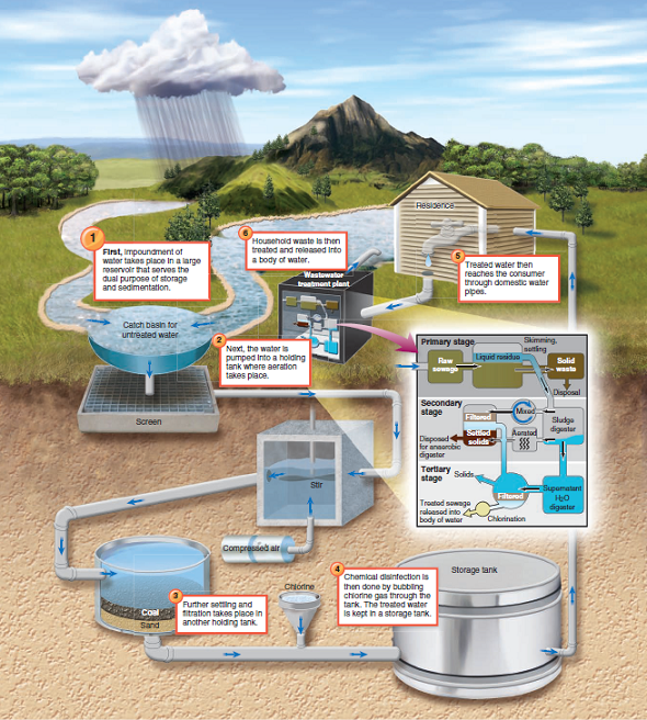 Critical thinking is the ability to reason and solve problems using facts and concepts. These questions can be approached from a number of angles and, in most cases, they do not have a single correct answer. Every year, supposedly safe municipal water supplies cause outbreaks of enteric illness. a. Using the Wisconsin outbreak example from the 1990s, explain how pathogens can slip through the processes of water analysis and treatment undetected and untreated. b. Looking at process figure 25.1, discuss how bioterrorists could target municipal water supplies and what pathogens would be utilized for this type of dispersal. Figure 25.1: The major steps in water purification and sewage treatment.