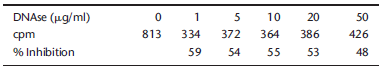 Tissières and Hopkins studied the relationship between DNA and protein synthesis. In one experiment, they measured the incorporation of amino acids into proteins in the presence of the enzyme deoxyribonuclease (DNase). They incubated a crude E. coli extract with varying concentrations of DNase for 10 min before adding the necessary components for the protein synthesis reaction including 14 C-labeled alanine. The amount of radioactivity incorporated is represented as cpm (counts per minute) in the data summarized below.     A. What effect does the addition of DNase have on protein synthesis? B. From what you know about the central dogma, explain why the addition of DNase causes the effect on amino acid incorporation observed. Data adapted from Tissières and Hopkins (1961. Proc. Natl. Acad. Sci. 47: 2015-2023).