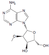 The structure given below is a nucleoside analog.   A. Name the nucleoside that the structure mimics. B. Imagine a strand of RNA containing this nucleoside analog (linked by phosphodiester bonds as in normal RNA). In a high-pH environment, is the RNA strand subject to hydrolysis where the nucleoside analog is present? Explain why or why not.<div style=padding-top: 35px> 