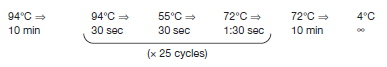 The following times and temperatures are an example of the steps for PCR. You can use Figure 7-12 to help you answer the following questions.     A. Why is the first step is carried out at 94°C? B. What happens in the reaction when the temperature shifts to 55°C during cycling? C. During cycling, what occurs when the temperature is at 72°C?