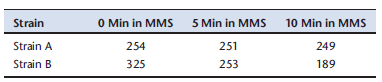 You want to test two strains of E. coli for sensitivity to the DNA damaging agent, MMS (methyl methanesulfonate), an alkylating agent that methylates specific bases in DNA. After treating cells with a range of doses of MMS (by incubating the cells with MMS in liquid culture for various times), you plate the cells on a solid media to count survivors (given below). Plot the data for the two strains (percent survival vs. time of MMS exposure). Which strain is more sensitive to MMS? (Note that to count single colonies, you would have to serial-dilute the culture. For this example, we will ignore the serial dilution step.)   