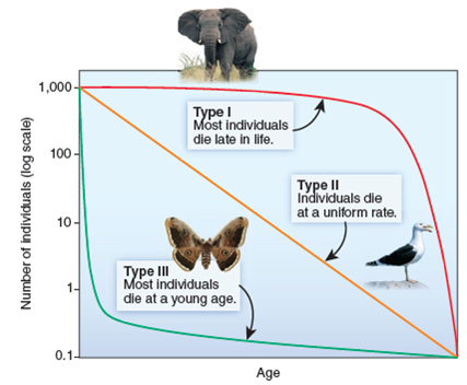 Explain the three types of survivorship curves shown in figure 3.23. FIGURE 3.23: Idealized survivorship curves include high survival rates for juveniles (Type I), uniform mortality risk throughout life (Type II), and high mortality for juveniles, with long survival for a few individuals that reach maturity (Type III).