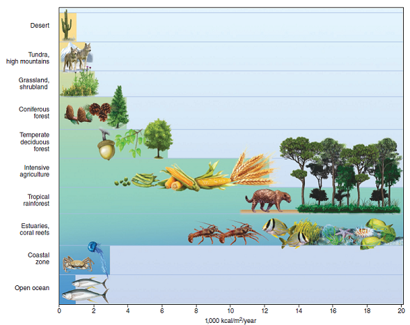 Which world ecosystems are most productive in terms of biomass (see fig. 3.28)? Which are least productive? What units are used in this figure to quantify biomass accumulation? FIGURE 3.28: Biomass accumulates at different rates in the world's major ecosystem types. Differences in net primary production is chiefly due to temperature, rainfall, and nutrients. Interactions among species also boost productivity.