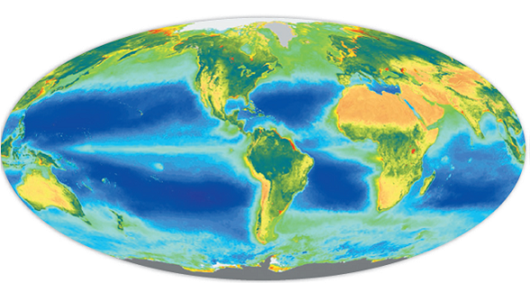 Figure 5.15 shows chlorophyll (plant growth) in oceans and on land. Explain why green, photosynthesizing organisms occur in bands at the equator and along the edges of continents. Explain the very dark green areas and yellow/orange areas on the continents. FIGURE 5.15: Satellite measurements of chlorophyll levels in the oceans and on land. Dark green to blue land areas have high biological productivity. Dark blue oceans have little chlorophyll and are biologically impoverished. Light green to yellow ocean zones are biologically rich. SOURCE: SeaWiFS/NASA.  <div style=padding-top: 35px> 