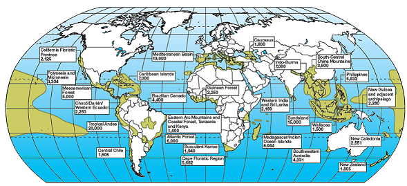 What is a biodiversity hot spot? List several of them (see fig. 5.22). FIGURE 5.22: Biodiversity hot spots identified by Conservation International tend to be in tropical or Mediterranean climates and on islands, coastlines, or mountains where many habitats exist and physical barriers encourage speciation. Numbers represent estimated endemic (locally unique) species in each area. SOURCE: Data from Conservation International.  <div style=padding-top: 35px> 