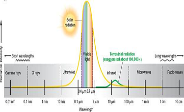 Which wavelengths do our eyes respond to, and why? (Refer to fig) About how long are short ultraviolet wavelengths compared to microwave lengths?     FIGURE The electromagnetic spectrum. Our eyes are sensitive to visible-light wavelengths, which make up nearly half the energy that reaches the earth's surface (represented by the area under the solar radiation curve). Photosynthesizing plants use the most abundant solar wavelengths (light and infrared). The earth reemits lower-energy, longer wavelengths (shown by the terrestrial radiation curve), mainly the infrared part of the spectrum.