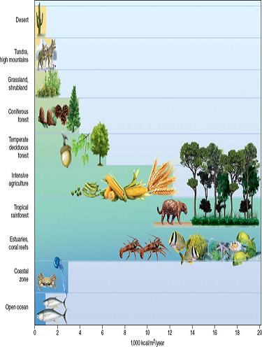 Which world ecosystems are most productive in terms of biomass (fig)? Which are least productive? What units are used in this figure to quantify biomass accumulation?     FIGURE Biomass accumulates at different rates in the world's major ecosystem types. Differences in net primary production is chiefly due to temperature, rainfall, and nutrients. Interactions among species also boost productivity.
