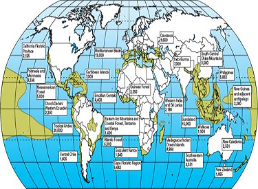 What is a biodiversity hot spot? List several of them (see fig).     FIGURE Biodiversity hot spots identified by Conservation International tend to be in tropical or Mediterranean climates and on islands, coastlines, or mountains where many habitats exist and physical barriers encourage speciation. Numbers represent estimated endemic (locally unique) species in each area. SOURCE: Data from Conservation International.