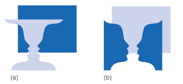 Vecera showed that regions in the lower part of a stimulus are more likely to be perceived as figure. How does this result relate to the idea that our visual system is tuned to regularities in the environment? Figure 1 (a) When the vase is perceived as figure, it is seen in front of a homogeneous dark background. (b) When the faces are seen as figure, they are seen in front of a homogeneous light background.     Figure 2 (a) Stimuli from Vecerra et al. (2002). (b) Percentage of trials on which lower or left areas were seen as figure.   