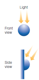 How is the idea of regularities of the environment that we introduced in Chapter related to the cognitive factors that determine where people look in Figure 8? Regularities in the Environment: Information for Perceiving Although people make use of regularities in the environment to help them perceive, they are often unaware of the specific information they are using. This aspect of perception is similar to what occurs when we use language. Even though people easily string words together to create sentences in conversations, they may not know the rules of grammar that specify how these words are being combined. Similarly, we easily use our knowledge of regularities in the environment to help us perceive, even though we may not be able to identify the specific information we are using. We can distinguish two types of regularities: physical regularities and semantic regularities. Physical Regularities Physical regularities are regularly occurring physical properties of the environment. For example, there are more vertical and horizontal orientations in the environment than oblique (angled) orientations. This occurs in human-made environments (for example, buildings contain many horizontals and verticals) and also in natural environments (trees and plants are more likely to be vertical or horizontal than slanted) (Coppola et al., 1998). It is, therefore, no coincidence that people can perceive horizontals and verticals more easily than other orientations-the oblique effect we introduced in Chapter 1 (see page 11) (Appelle, 1972; Campbell et al., 1966; Orban et al., 1984). Another physical regularity is that objects in the environment often have homogeneous colors and nearby objects have different colors. Thus, if we pick a point on the scene in Figure 1 (such as A) and move slightly away from that point (to B), it is likely that the two points are on the same object if the color is the same. If, however, we move to C, the color changes, which means it is likely we are looking at a different object. While you are looking at this scene, see if you can find examples of good continuation and good figure. The following demonstration illustrates yet another physical regularity. DEMONSTRATION  Shape From Shading  What do you perceive in Figure 2 ? Do some of the discs look as though they are sticking out, like parts of three-dimensional spheres, and others appear to be indentations? If you do see the discs in this way, notice that the ones that appear to be sticking out are arranged in a square. After observing this, turn the page over so the small dot is on the bottom. Does this change your perception? Figures 3 and 4 show that if we assume that light is coming from above (which is usually the case in the environment), then patterns like the circles that are light on the top would be created by an object that bulges out ( Figure 3 ), but a pattern like the circles that are light on the bottom would be created by an indentation in a surface ( Figure 4 ). The assumption that light is coming from above has been called the light-from-above assumption (Kleffner Ramachandran, 1992). Apparently, people make the light-from-above assumption because most light in our environment comes from above. This includes the sun, as well as most artificial light sources. Another example of the light-from-above assumption at work is provided by the two pictures in Figure 5. Figure 5a shows indentations created by people walking in the sand. But when we turn this picture upside down, as in Figure 5b , then the indentations in the sand become rounded mounds. It is clear from these examples of physical regularities in the environment that one of the reasons humans are able to perceive and recognize objects and scenes so much better than computer-guided robots is that our system is customized to respond to the physical characteristics of our environment. But this customization goes beyond physical characteristics. It also occurs because we have learned about what types of objects typically occur in specific types of scenes. Semantic Regularities In language, semantics refers to the meanings of words or sentences. Applied to perceiving scenes, semantics refers to the meaning of a scene. This meaning is often related to the function of a scene-what happens within it. For example, food preparation, cooking, and perhaps eating occur in a kitchen; waiting around, buying tickets, checking luggage, and going through security checkpoints happens in airports. Semantic regularities are the characteristics associated with the functions carried out in different types of scenes. One way to demonstrate that people are aware of semantic regularities is simply to ask them to imagine a particular type of scene or object, as in the following demonstration. DEMONSTRATION  Visualizing Scenes and Objects  Your task in this demonstration is simple-visualize or simply think about the following scenes and objects: An office The clothing section of a department store A microscope A lion Most people who have grown up in modern society have little trouble visualizing an office or the clothing section of a department store. What is important about this ability, for our purposes, is that part of this visualization involves details within these scenes. Most people see an office as having a desk with a computer on it, bookshelves, and a chair. The department store scene may contain racks of clothes, a changing room, and perhaps a cash register. What did you see when you visualized the microscope or the lion? Many people report seeing not just a single object, but an object within a setting. Perhaps you perceived the microscope sitting on a lab bench or in a laboratory, and the lion in a forest or on a savannah or in a zoo. An example of the knowledge we have of things that typically belong in certain scenes is provided by a classic experiment by Stephen Palmer (1975), using stimuli like the picture in Figure 6. Palmer first presented a context scene such as the one on the left and then briefly flashed one of the target pictures on the right. When Palmer asked observers to identify the object in the target picture, they correctly identified an object like the loaf of bread (which is appropriate to the kitchen scene) 80 percent of the time, but correctly identified the mailbox or the drum (two objects that don't fit into the scene) only 40 percent of the time. Apparently, Palmer's observers were using their knowledge about kitchens to help them perceive the briefly flashed loaf of bread. The effect of semantic regularities is also illustrated in Figure 7 , which is called the multiple personalities of a blob (Oliva Torralba, 2007). The blob is perceived as different objects depending on its orientation and the context within which it is seen. It appears to be an object on a table in (b), a shoe on a person bending down in (c), and a car and a person crossing the street in (d), even though it is the same shape in all of the pictures. Figure 1  Objects in the environment often have homogeneous colors. See text for details.     Figure 2  Some of these discs are perceived as jutting out and some are perceived as indentations.     Figure 3  Explanation for your perception of figure 2. Light coming from above will illuminate the top of a shape that is jutting out     Figure 4  The bottom of an indentation     Figure 5  Why does (a) look like indentations in the sand and (b) look like mounds of sand? See the text for explanation.     Figure 6  Stimuli used in Palmer's (1975) experiment. The scene at the left is presented first, and the observer is then asked to identify one of the objects on the right.     Figure 7  What we expect to see in different contexts influences our interpretation of the identity of the blob inside the circles. Part (d) adapted from Oliva, A., Torralba, A., The role of context in object recognition, Trends in Cognitive Sciences , Vol. 11, 12. Copyright 2007, with permission from Elsevier.     Figure 8  The red shirt is highly salient because of its color compared to the rest of the scene.   