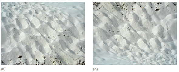 How is the idea of regularities of the environment that we introduced in Chapter related to the cognitive factors that determine where people look in Figure 8? Regularities in the Environment: Information for Perceiving Although people make use of regularities in the environment to help them perceive, they are often unaware of the specific information they are using. This aspect of perception is similar to what occurs when we use language. Even though people easily string words together to create sentences in conversations, they may not know the rules of grammar that specify how these words are being combined. Similarly, we easily use our knowledge of regularities in the environment to help us perceive, even though we may not be able to identify the specific information we are using. We can distinguish two types of regularities: physical regularities and semantic regularities. Physical Regularities Physical regularities are regularly occurring physical properties of the environment. For example, there are more vertical and horizontal orientations in the environment than oblique (angled) orientations. This occurs in human-made environments (for example, buildings contain many horizontals and verticals) and also in natural environments (trees and plants are more likely to be vertical or horizontal than slanted) (Coppola et al., 1998). It is, therefore, no coincidence that people can perceive horizontals and verticals more easily than other orientations-the oblique effect we introduced in Chapter 1 (see page 11) (Appelle, 1972; Campbell et al., 1966; Orban et al., 1984). Another physical regularity is that objects in the environment often have homogeneous colors and nearby objects have different colors. Thus, if we pick a point on the scene in Figure 1 (such as A) and move slightly away from that point (to B), it is likely that the two points are on the same object if the color is the same. If, however, we move to C, the color changes, which means it is likely we are looking at a different object. While you are looking at this scene, see if you can find examples of good continuation and good figure. The following demonstration illustrates yet another physical regularity. DEMONSTRATION  Shape From Shading  What do you perceive in Figure 2 ? Do some of the discs look as though they are sticking out, like parts of three-dimensional spheres, and others appear to be indentations? If you do see the discs in this way, notice that the ones that appear to be sticking out are arranged in a square. After observing this, turn the page over so the small dot is on the bottom. Does this change your perception? Figures 3 and 4 show that if we assume that light is coming from above (which is usually the case in the environment), then patterns like the circles that are light on the top would be created by an object that bulges out ( Figure 3 ), but a pattern like the circles that are light on the bottom would be created by an indentation in a surface ( Figure 4 ). The assumption that light is coming from above has been called the light-from-above assumption (Kleffner Ramachandran, 1992). Apparently, people make the light-from-above assumption because most light in our environment comes from above. This includes the sun, as well as most artificial light sources. Another example of the light-from-above assumption at work is provided by the two pictures in Figure 5. Figure 5a shows indentations created by people walking in the sand. But when we turn this picture upside down, as in Figure 5b , then the indentations in the sand become rounded mounds. It is clear from these examples of physical regularities in the environment that one of the reasons humans are able to perceive and recognize objects and scenes so much better than computer-guided robots is that our system is customized to respond to the physical characteristics of our environment. But this customization goes beyond physical characteristics. It also occurs because we have learned about what types of objects typically occur in specific types of scenes. Semantic Regularities In language, semantics refers to the meanings of words or sentences. Applied to perceiving scenes, semantics refers to the meaning of a scene. This meaning is often related to the function of a scene-what happens within it. For example, food preparation, cooking, and perhaps eating occur in a kitchen; waiting around, buying tickets, checking luggage, and going through security checkpoints happens in airports. Semantic regularities are the characteristics associated with the functions carried out in different types of scenes. One way to demonstrate that people are aware of semantic regularities is simply to ask them to imagine a particular type of scene or object, as in the following demonstration. DEMONSTRATION  Visualizing Scenes and Objects  Your task in this demonstration is simple-visualize or simply think about the following scenes and objects: An office The clothing section of a department store A microscope A lion Most people who have grown up in modern society have little trouble visualizing an office or the clothing section of a department store. What is important about this ability, for our purposes, is that part of this visualization involves details within these scenes. Most people see an office as having a desk with a computer on it, bookshelves, and a chair. The department store scene may contain racks of clothes, a changing room, and perhaps a cash register. What did you see when you visualized the microscope or the lion? Many people report seeing not just a single object, but an object within a setting. Perhaps you perceived the microscope sitting on a lab bench or in a laboratory, and the lion in a forest or on a savannah or in a zoo. An example of the knowledge we have of things that typically belong in certain scenes is provided by a classic experiment by Stephen Palmer (1975), using stimuli like the picture in Figure 6. Palmer first presented a context scene such as the one on the left and then briefly flashed one of the target pictures on the right. When Palmer asked observers to identify the object in the target picture, they correctly identified an object like the loaf of bread (which is appropriate to the kitchen scene) 80 percent of the time, but correctly identified the mailbox or the drum (two objects that don't fit into the scene) only 40 percent of the time. Apparently, Palmer's observers were using their knowledge about kitchens to help them perceive the briefly flashed loaf of bread. The effect of semantic regularities is also illustrated in Figure 7 , which is called the multiple personalities of a blob (Oliva Torralba, 2007). The blob is perceived as different objects depending on its orientation and the context within which it is seen. It appears to be an object on a table in (b), a shoe on a person bending down in (c), and a car and a person crossing the street in (d), even though it is the same shape in all of the pictures. Figure 1  Objects in the environment often have homogeneous colors. See text for details.     Figure 2  Some of these discs are perceived as jutting out and some are perceived as indentations.     Figure 3  Explanation for your perception of figure 2. Light coming from above will illuminate the top of a shape that is jutting out     Figure 4  The bottom of an indentation     Figure 5  Why does (a) look like indentations in the sand and (b) look like mounds of sand? See the text for explanation.     Figure 6  Stimuli used in Palmer's (1975) experiment. The scene at the left is presented first, and the observer is then asked to identify one of the objects on the right.     Figure 7  What we expect to see in different contexts influences our interpretation of the identity of the blob inside the circles. Part (d) adapted from Oliva, A., Torralba, A., The role of context in object recognition, Trends in Cognitive Sciences , Vol. 11, 12. Copyright 2007, with permission from Elsevier.     Figure 8  The red shirt is highly salient because of its color compared to the rest of the scene.   