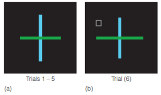 Can you think of situations from your experience that are similar to the change detection experiments in that you missed seeing an object that became easy to see once you knew it was there? What do you think was behind your initial failure to see this object? Figure Inattentional blindness experiment. (a) The cross display is presented for five trials. One arm of the cross is slightly longer on each trial. The subject's task is to indicate which arm (horizontal or vertical) is longer. (b) On the sixth trial, the subjects carry out the same task, but a small square is included in the display. After the sixth trial, subjects are asked if they saw anything different than before. Adapted from Lavie, N. (2010). Attention, distraction, and cognitive control under load. Current Directions in Psychological Science, 19, 143-148. Reproduced with permission.   