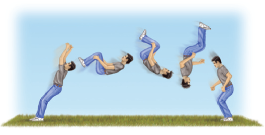 We have seen that gymnasts appear to take visual information into account as they are in the act of executing a somersault. In the sport of synchronized diving, two people execute a dive simultaneously from two side-by-side diving boards. They are judged based on how well they execute the dive and how well the two divers are synchronized with each other. What environmental stimuli do you think synchronized divers need to take into account in order to be successful? Figure Snapshots of a somersault, or backflip, starting on the left and finishing on the right. From Bardy, B. G., Laurent, M. (1998). How is body orientation controlled during somersaulting? Journal of Experimental Psychology: Human Perception and Performance, 24 , 963-977. Copyright © 1998 by The American Physiological Society. Reprinted by permission.   