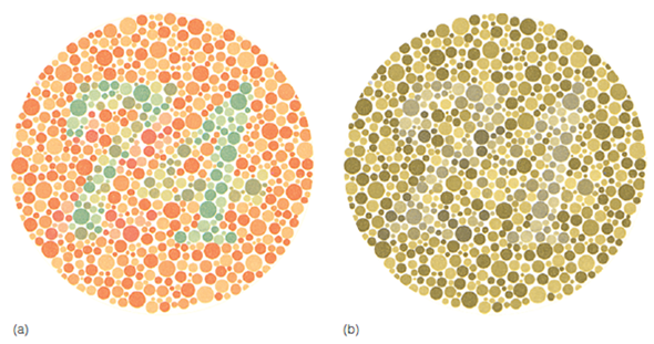 When we discussed color deficiency, we noted the difficulty in determining the nature of a color-deficient person's color experience. Discuss how this is related to the idea that color experience is a creation of our nervous system. Figure Ishihara plate for testing color deficiency. (a) A person with normal color vision sees a 74 when the plate is viewed under standardized illumination. (b) Ishihara plate as perceived by a person with a form of red-green color deficiency.   