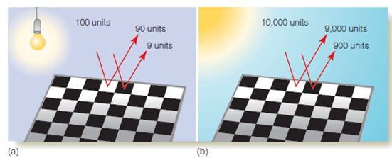 Figure shows two displays. The display in (b) was created by changing the top and bottom of the display in (a), while keeping the intensity distributions across the centers of the displays constant. (You can convince yourself that this is true by masking off the top and bottom of the displays.) But even though the intensities are the same, the display in (a) looks like a dark surface on the left and a light surface on the right, whereas the display in (b) looks like two curved cylinders with a slight shadow on the left one. How would you explain this, based on what we know about the causes of lightness constancy? Figure 1 The light distribution is identical for (a) and (b), though it appears to be different. Figure 2 A black-and-white checkerboard illuminated by (a) tungsten light and (b) sunlight.