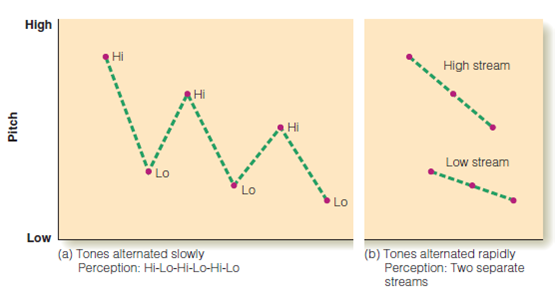 In the experiments on metrical structure, the stimulus was a steady, accent-free, series of beats, like the sound produced by a metronome. But in most music, specific beats are accented. Determine a number of ways that this accenting is achieved, by listening to a few different kinds of music. Figure 1 Figure 1 Four measures of a composition by J. S. Bach (Choral Prelude on Jesus Christus unser Heiland , 1739). When played rapidly, the upper notes become perceptually grouped and the lower notes become perceptually grouped, a phenomenon called auditory stream segregation.   Figure 2 Figure 2 (a) When high and low tones are alternated slowly, auditory stream segregation does not occur, so the listener perceives alternating high and low tones. (b) Faster alternation results in segregation into high and low streams.  <div style=padding-top: 35px> 