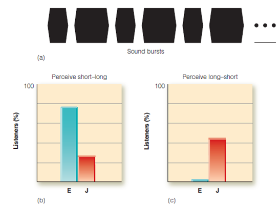 What are some situations in which (a) you use one sense in isolation, and (b) the combined use of two or more senses is necessary to accomplish a task? Figure (a) Subjects listened to sequences of short and long tones. On half the trials, the first tone was short; on the other half, long. The durations of the tones ranged from about 150 ms to 500 ms (durations varied for different experimental conditions), and the entire sequence repeated for 5 seconds. (b) English-speaking subjects (E) were more likely than Japanese-speaking subjects (J) to perceive the stimulus as short-long. (c) Japanese-speaking subjects were more likely than English-speaking subjects to perceive the stimulus as long-short.  <div style=padding-top: 35px> 