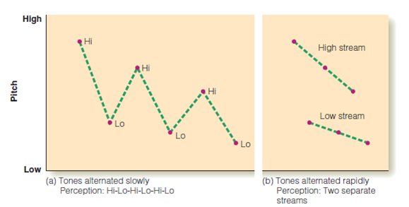 What are the basic principles of auditory grouping that help us achieve auditory scene analysis? Be sure you understand the following experiments: Bregman and Campbell (Figure 1); galloping crossing streams (Figure 2); scale illusion (Figure 3); auditory continuity (Figure 4); and melody schema (Figure 5). Figure 1 (a) When high and low tones are alternated slowly, auditory stream segregation does not occur, so the listener perceives alternating high and low tones. (b) Faster alternation results in segregation into high and low streams.   Figure 2 (a) Two sequences of stimuli: a sequence of similar notes (red), and a scale (blue). (b) Perception of these stimuli: Separate streams are perceived when they are far apart in frequency, but the tones appear to jump back and forth between stimuli when the frequencies are in the same range.   Figure 3 (a) These stimuli were presented to a listener's left ear (blue) and right ear (red) in Deutsch's (1975) scale illusion experiment. Notice how the notes presented to each ear jump up and down. (b) Although the notes in each ear jump up and down, the listener perceives a smooth sequence of notes. This effect is called the scale illusion, or melodic channeling.   Figure 4 A demonstration of auditory continuity, using tones.   Figure 5 Three Blind Mice. (a) Jumping octave version. (b) Normal version.  <div style=padding-top: 35px> 