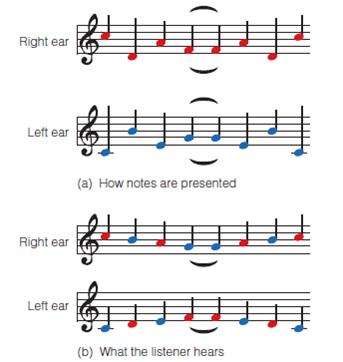 What are the basic principles of auditory grouping that help us achieve auditory scene analysis? Be sure you understand the following experiments: Bregman and Campbell (Figure 1); galloping crossing streams (Figure 2); scale illusion (Figure 3); auditory continuity (Figure 4); and melody schema (Figure 5). Figure 1 (a) When high and low tones are alternated slowly, auditory stream segregation does not occur, so the listener perceives alternating high and low tones. (b) Faster alternation results in segregation into high and low streams.   Figure 2 (a) Two sequences of stimuli: a sequence of similar notes (red), and a scale (blue). (b) Perception of these stimuli: Separate streams are perceived when they are far apart in frequency, but the tones appear to jump back and forth between stimuli when the frequencies are in the same range.   Figure 3 (a) These stimuli were presented to a listener's left ear (blue) and right ear (red) in Deutsch's (1975) scale illusion experiment. Notice how the notes presented to each ear jump up and down. (b) Although the notes in each ear jump up and down, the listener perceives a smooth sequence of notes. This effect is called the scale illusion, or melodic channeling.   Figure 4 A demonstration of auditory continuity, using tones.   Figure 5 Three Blind Mice. (a) Jumping octave version. (b) Normal version.  <div style=padding-top: 35px> 