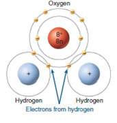 Figure 3.10 This figure shows an oxygen atom forming covalent bonds with two hydrogen atoms. A carbon atom, like oxygen, has two electrons in its innermost shell, but only four electrons in its outermost shell. Using this water molecule as a guide, draw a diagram showing how carbon forms covalent bonds with four hydrogen atoms in a methane (CH 4 ) molecule.   