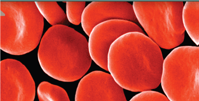 How Does pH Affect a Protein's Function  The red blood cells you see to the right carry oxygen to all parts of your body. These cells are red because they are chock full of a large iron-rich protein called hemoglobin. The iron atoms in each hemoglobin molecule provide a place for oxygen gas molecules to stick to the protein. When oxygen levels are highest (in the lungs), oxygen atoms bind to hemoglobin tightly, and a large percent of the hemoglobin molecules in a cell possess bound oxygen atoms. When oxygen levels are lower (in the tissues of the body), hemoglobin doesn't bind oxygen atoms as tightly, and as a consequence hemoglobin releases its oxygen to the tissues. What causes this difference between lungs and tissues in how hemoglobin loads and unloads oxygen Oxygen concentration is not the only factor that might be responsible. Blood pH, for example, also differs between lungs and body tissues ( pH is a measure of how many H+ ions a solution contains). Tissues are slightly more acid (that is, they have more H+ ions and a lower pH) because their metabolic activities release CO<sub>2</sub> into the blood, which you will recall from chapter 3, quickly becomes converted to carbonic acid. The graph to the right displays so-called oxygen loading curves that reveal the effectiveness with which hemoglobin binds oxygen. The more effective the binding, the less oxygen required before hemoglobin becomes fully loaded, and the further to the left a loading curve is shifted. To assess the impact of pH on this process, O2 loading curves were carried out at three different blood pH values. In the graph, oxygen levels in the blood are presented on the x axis (the x axis runs along the bottom of the graph), and for each data point the corresponding % hemoglobin saturation (a %, or percent, is the numerator [top part] of a fraction whose denominator [bottom part] is 100-in this case, a measure of the fraction of the hemoglobin that is bound to oxygen) is presented on the y axis (the y axis runs up the left side of the graph). The oxygen-loading curve was repeated at pH values of 7.6, 7.4, and 7.2, corresponding to the blood pH that might be expected in resting, exercising, and very active muscle tissue.         Making Inferences At an oxygen level of 40 mm Hg, would hemoglobin bind oxygen more tightly at a pH of 7.8 or 7.0