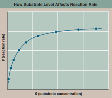 Do Enzymes Physically Attach to Their Substrates  In order to determine if an enzyme actually binds to the chemical it catalyzes (its substrate), chemist Victor Henri in 1903 carried out the experiment whose results you see in the graph, measuring the reaction rate ( V ) at different substrate concentrations ( S ).     Drawing Conclusions Does this result provide support for the hypothesis that an enzyme binds physically to its substrate Explain. If the hypothesis were incorrect, what would you expect the graph to look like