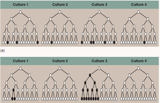 Are Mutations Random or Directed By the Environment  Once biologists appreciated that Mendelian traits were in fact alternative versions of DNA sequences, which resulted from mutations, a very important question arose and needed to be answered-Are mutations random events that might happen anywhere on the DNA in a chromosome, or are they directed to some degree by the environment Do the mutagens in cigarettes, for example, damage DNA at random locations, or do they preferentially seek out and alter specific sites such as those regulating the cell cycle  This key question was addressed and answered in an elegant, deceptively simple experiment carried out in 1943 by two of the pioneers of molecular genetics, Salvadore Luria and Max Delbruck. They chose to examine a particular mutation that occurs in laboratory strains of the bacterium E. coli. These bacterial cells are susceptible to T1 viruses, tiny chemical parasites that infect, multiply within, and kill the bacteria. If 10 5 bacterial cells are exposed to 10 10 T1 viruses, and the mixture spread on a culture dish, not one cell grows-every single E. coli cell is infected and killed. However, if you repeat the experiment using 10 9 bacterial cells, lots of cells survive! When tested, these surviving cells prove to be mutants, resistant to T1 infection. The question is, did the T1 virus cause the mutations, or were they present all along, too rare to be present in a sample of only 10 5 cells but common enough to be present in 10 9 cells  To answer this question, Luria and Delbruck devised a simple experiment they called a fluctuation test, illustrated here. Five cell generations are shown for each of four independent bacterial cultures, all tested for resistance in the fifth generation. If the T1 virus causes the mutations (top row), then each culture will have more or less the same number of resistant cells, with only a little fluctuation (that is, variation among the four). If, on the other hand, mutations are spontaneous and so equally likely to occur in any generation, then bacterial cultures in which the T1-resistance mutation occurs in earlier generations will possess far more resistant cells by the fifth generation than cultures in which the mutation occurs in later generations, resulting in wide fluctuation among the four cultures. The table presents the data they obtained for 20 individual cultures.         Interpreting Data What is the mean number of T1 resistant colonies found in the 20 individual cultures