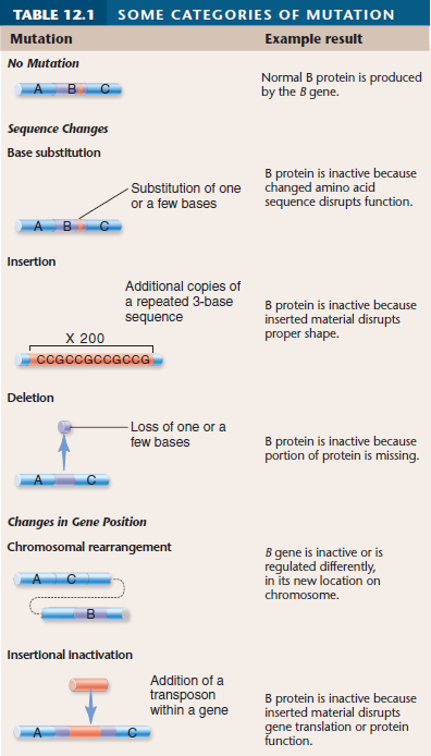 Table 12.1 Your friend Madison wants to know if there are ever mutations that don't cause problems. What do you tell her