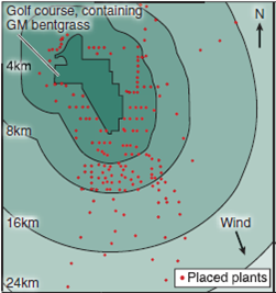 Can Modified Genes Escape from GM Crops  On the previous page of this chapter you read of a field experiment conducted in 2004 by the Environmental Protection Agency to assess the possibility that introduced genes could pass from genetically modified golf course grass to other plants. Investigators introduced a gene conferring herbicide resistance (the EPSP synthetase gene for resistance to glyphosate) into golf course bentgrass, A. stolonifera, and then looked to see if the gene passed from the GM grass to other plants of the same species, and also if it passed to other related species. The map at the bottom displays the setup of this elaborate field study. A total of 178 A. stolonifera plants were placed outside the golf course, many of them downwind. An additional 69 bentgrass individuals were found to be already growing downwind, most of them the related species A. gigantea. Seeds were collected from each of these plants, and the DNA of resulting seedlings tested for the presence of the gene introduced into the GM golf course grass. In the graph, the upper red histogram (a histogram is a bar graph that sorts data into a series of discontinuous categories, the value of each bar representing the number of individuals in a category, or, as in this case, the average value of entries in that category) presents the relative frequency with which the gene was found in A. stolonifera plants located at various distances from the golf course. The lower blue histogram does the same for A. gigantea plants.             Applying Concepts  a. Variable. In the histogram, is there a dependent variable If so, what is it  b. Reading a Histogram. Does the gene conferring resistance to herbicide pass to other plants of this species, A. stolonifera to individuals of the related species A. gigantea  c. What is the maximal distance over which the herbicide resistance gene is transferred to other plants of this species of the related species what are these distances, expressed in miles