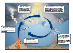 Figure 19.2 What provides the energy to form the molecules shown in this figure