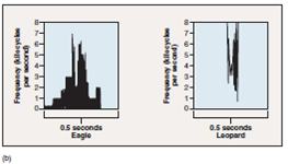 Figure 39.14 b What does this graph imply about communication in nonhuman primates