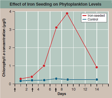 Does Iron Limit the Growth of Ocean Phytoplankton? Phytoplankton are microscopic organisms that live in the oceans, carrying out much of the earth's photosynthesis. The photo below is of Chaetoceros, a phytoplankton. Decades ago, scientists noticed dead zones in the ocean where little photosynthesis occurred. Looking more closely, they found that phytoplankton collected from these waters are not able to efficiently fix CO<sub>2</sub> into carbohydrates. In an attempt to understand why not, the scientists hypothesized that lack of iron (needed by the ETS) was the problem, and predicted that fertilizing these ocean waters with iron could trigger an explosively rapid growth of phytoplankton. To test this idea, they carried out a field experiment, seeding large areas of phytoplankton-poor ocean waters with iron crystals to see if this triggered phytoplankton growth. Other similarly phytoplanktonpoor areas of ocean were not seeded with iron and served as controls. In one such experiment, the results of which are presented in the graph to the right, a 72-km <sup>2</sup> grid of phytoplankton-deficient ocean water was seeded with iron crystals and a tracer substance in three successive treatments, indicated with arrows on the x axis of the graph (on days 0, 3, and 7). The multiple seedings were carried out to reduce the effect of the iron crystals dissipating over time. A smaller control grid, 24 km <sup>2</sup> , was seeded with just the tracer substance. To assess the numbers of phytoplankton organisms carrying out photosynthesis in the ocean water, investigators did not actually count organisms. Instead, they estimated the amount of chlorophyll a in water samples as an easier-to-measure index. An index is a parameter that accurately reflects the quantity of another less-easily-measured parameter. In this instance, the level of chlorophyll a , easily measured by monitoring the wavelengths of light absorbed by a liquid sample, is a suitable index of phytoplankton, as this pigment is found nowhere else in the ocean other than within phytoplankton. Chlorophyll a measurements were made periodically on both test and control grids for 14 days. The results are plotted on the graph. Red points indicate chlorophyll a concentrations in iron-seeded waters; blue points indicate chlorophyll a levels in the control grid waters that were not seeded.     Interpreting Data a. What happened to the levels of chlorophyll a in the test areas of the ocean (red dots)? b. What happened to the levels of chlorophyll a in the control areas (blue dots)? c. Comparing the red line to the blue line, about how many times more numerous are phytoplankton in iron-seeded waters on the three days of seeding?<div style=padding-top: 35px> 